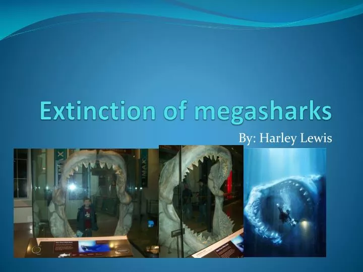 extinction of megasharks