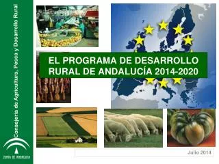 el programa de desarrollo rural de andaluc a 2014 2020