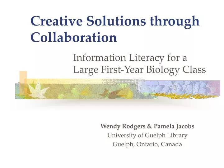creative solutions through collaboration