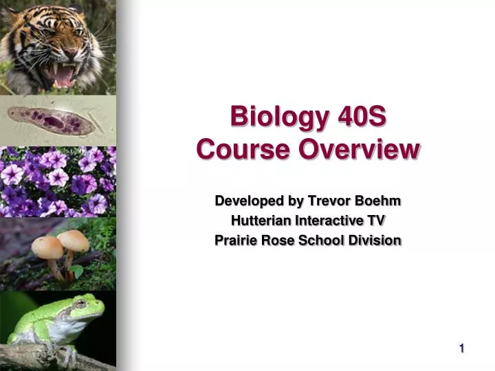 biology 40s course overview