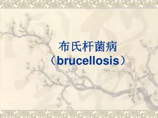 brucellosis