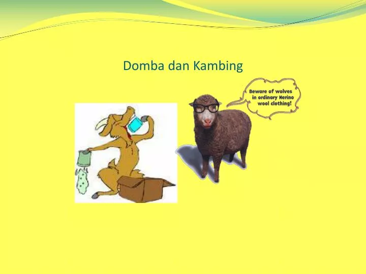 domba dan kambing