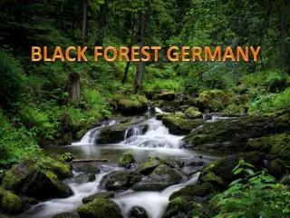 BLACK FOREST GERMANY