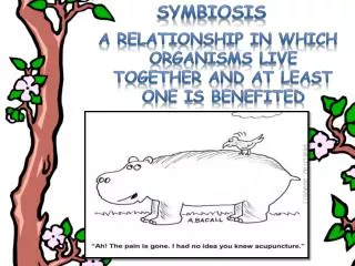 Symbiosis A relationship in which organisms live Together and at least one is benefited