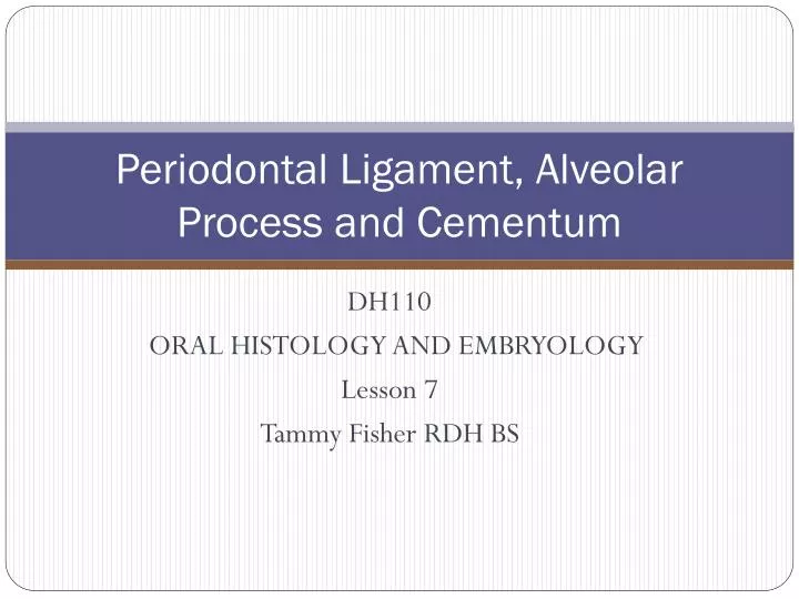 periodontal ligament alveolar process and cementum