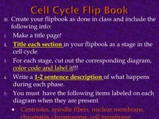 Cell Cycle Flip Book