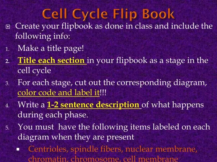 cell cycle flip book