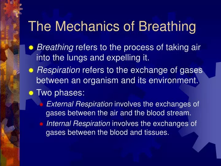 the mechanics of breathing