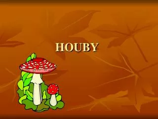 houby