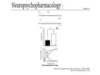 Neuropsychopharmacology (2012) 37, 1483-1499; doi:10.1038/npp.2011.334