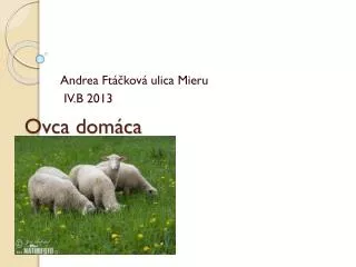 ovca dom ca