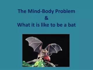 The Mind-Body Problem &amp; What it is like to be a bat