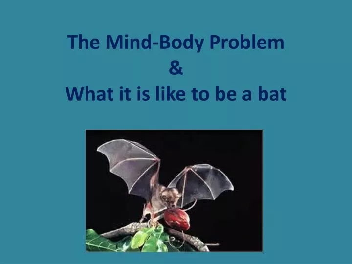 the mind body problem what it is like to be a bat