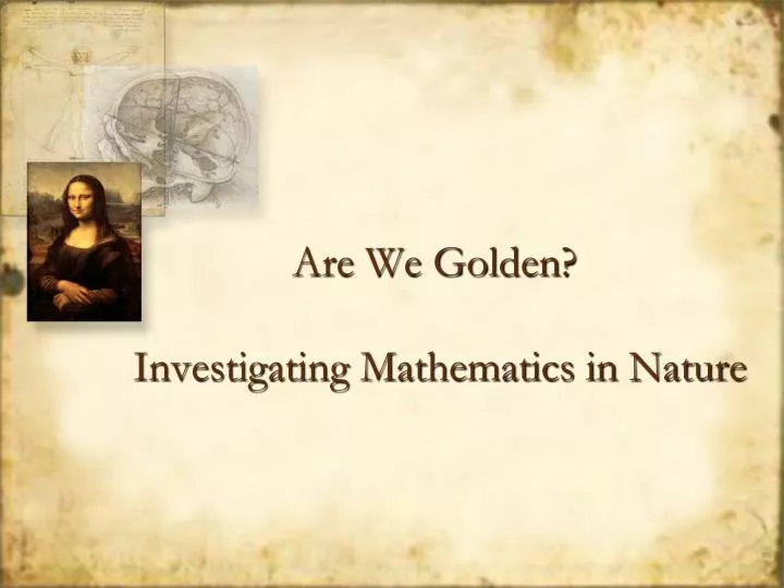 are we golden investigating mathematics in nature