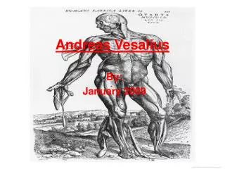 Andreas Vesalius