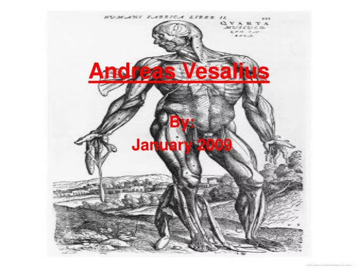 andreas vesalius