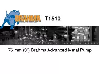 76 mm (3&quot;) Brahma Advanced Metal Pump