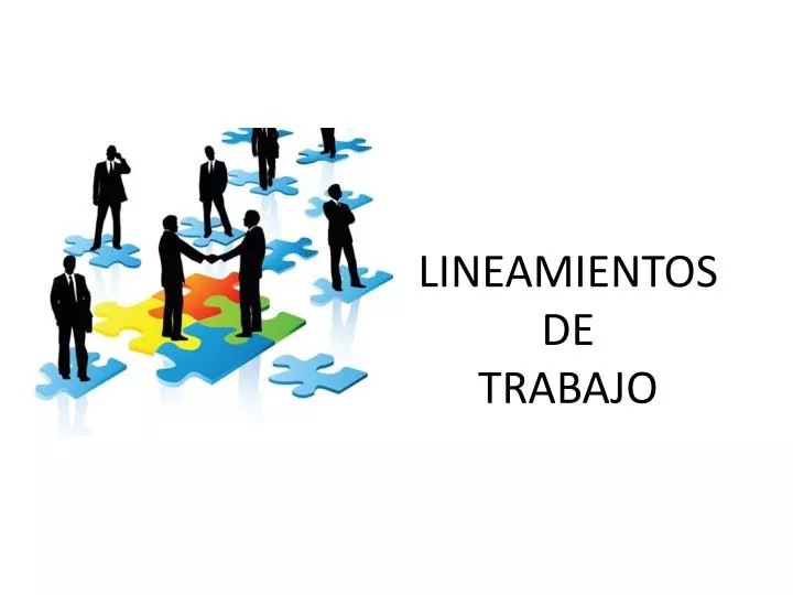 lineamientos de trabajo