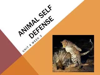 Animal Self Defense