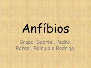 anf bios