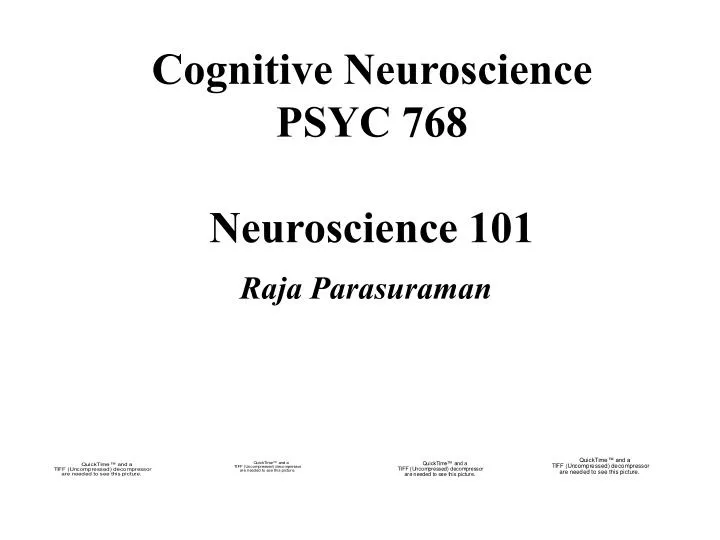 cognitive neuroscience psyc 768 neuroscience 101