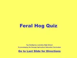 Feral Hog Quiz