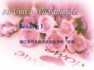 8B Unit 3 Wild animals