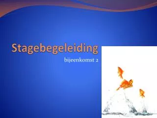 stagebegeleiding