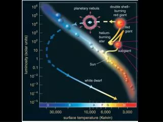 Supernovae and nucleosynthesis of elements &gt; Fe