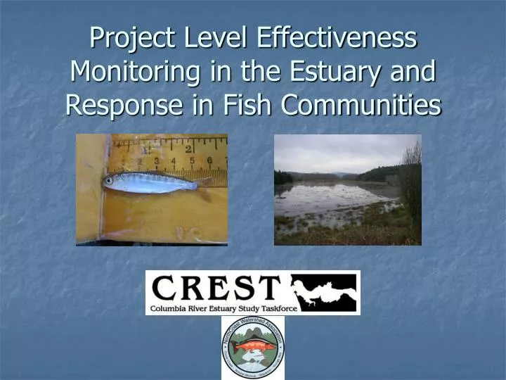 project level effectiveness monitoring in the estuary and response in fish communities