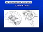 Ventricular System - slide 1