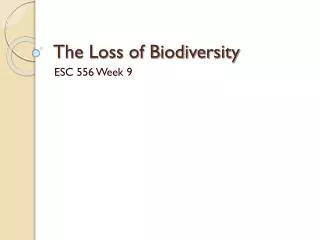 The Loss of Biodiversity