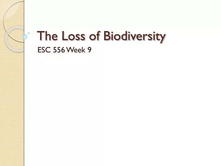 the loss of biodiversity