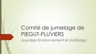 comit de jumelage de piegut pluviers
