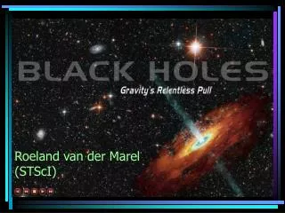 Roeland van der Marel (STScI)