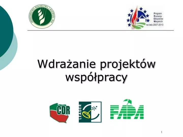 wdra anie projekt w wsp pracy