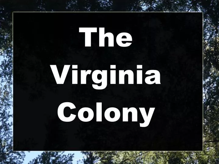 the virginia colony