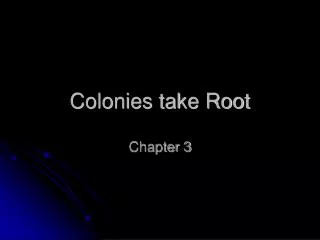 Colonies take Root