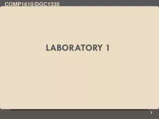 Laboratory 1