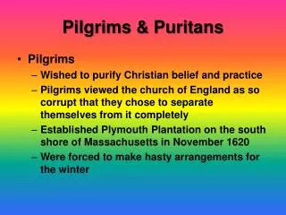 Pilgrims &amp; Puritans