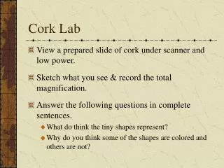 Cork Lab