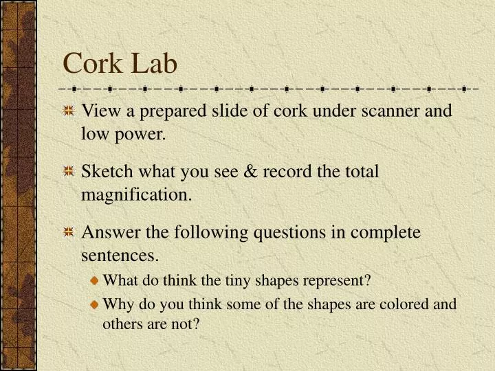 cork lab