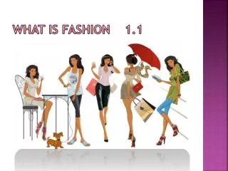 What is Fashion 1.1