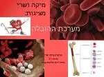 מערכת ההובלה - slide 1