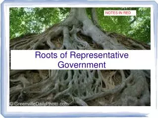 Roots of Representative Government
