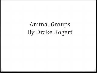 Animal Groups By Drake Bogert