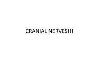 CRANIAL NERVES!!!