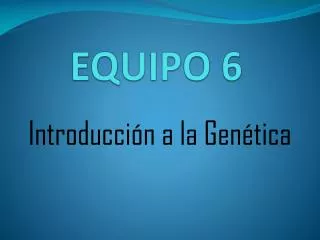 equipo 6