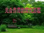 光合作用的探究历程 - slide 1