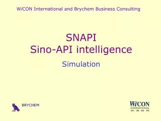 W i CON International and Brychem Business Consulting